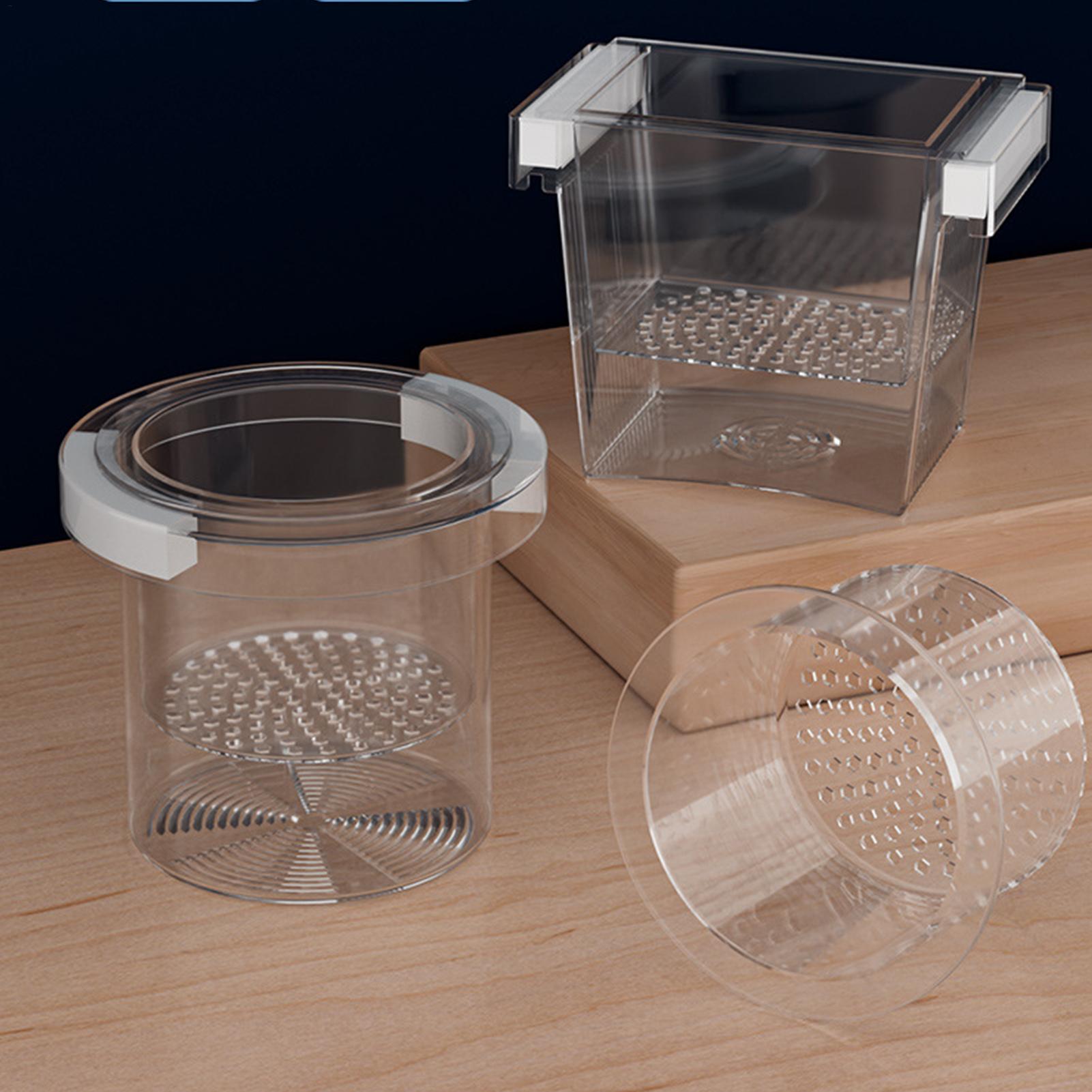 Betta Fish Tank - Caixa de Isolamento para Criação de