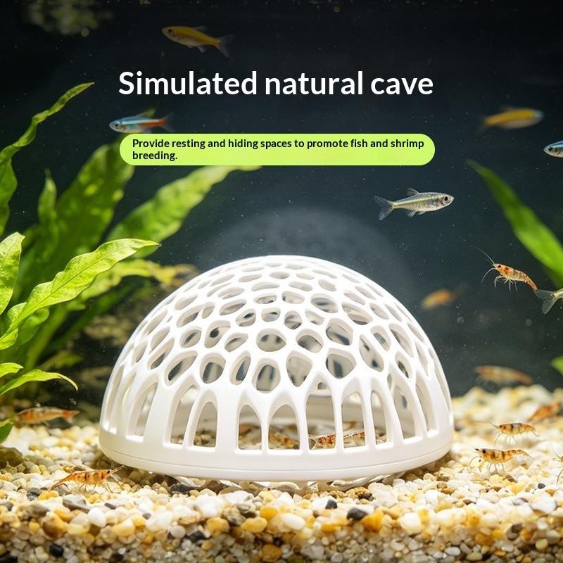 Aquarium Fish Betta - Nova casa para camarões de aquário,