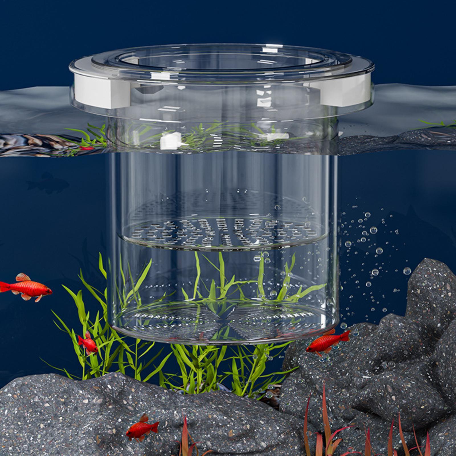 Caixa de Isolamento para Criaç - Betta Fish Tank avaliação e preço