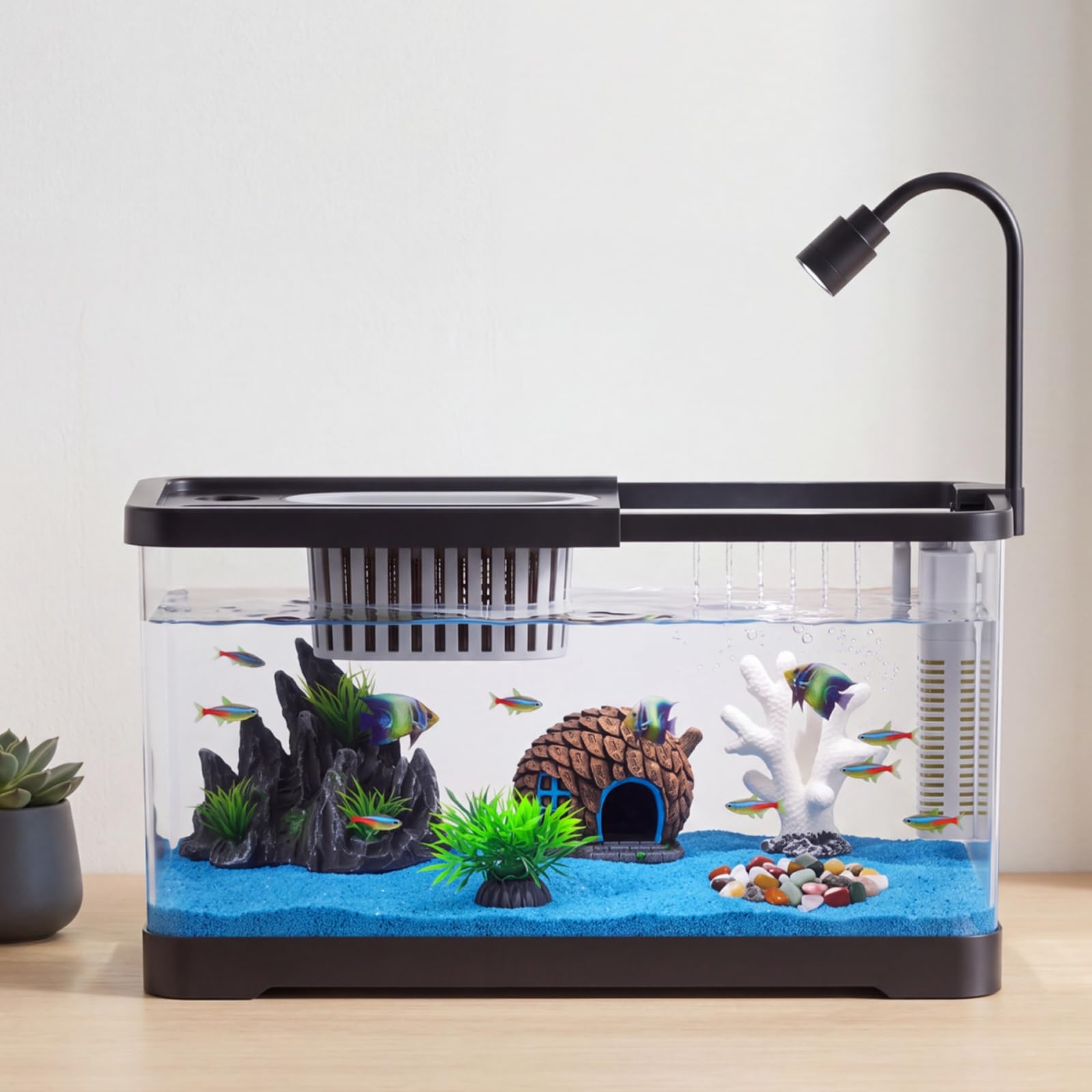 Kit Inicial para Aquário com F - Aquarium Fish Betta avaliação e preço