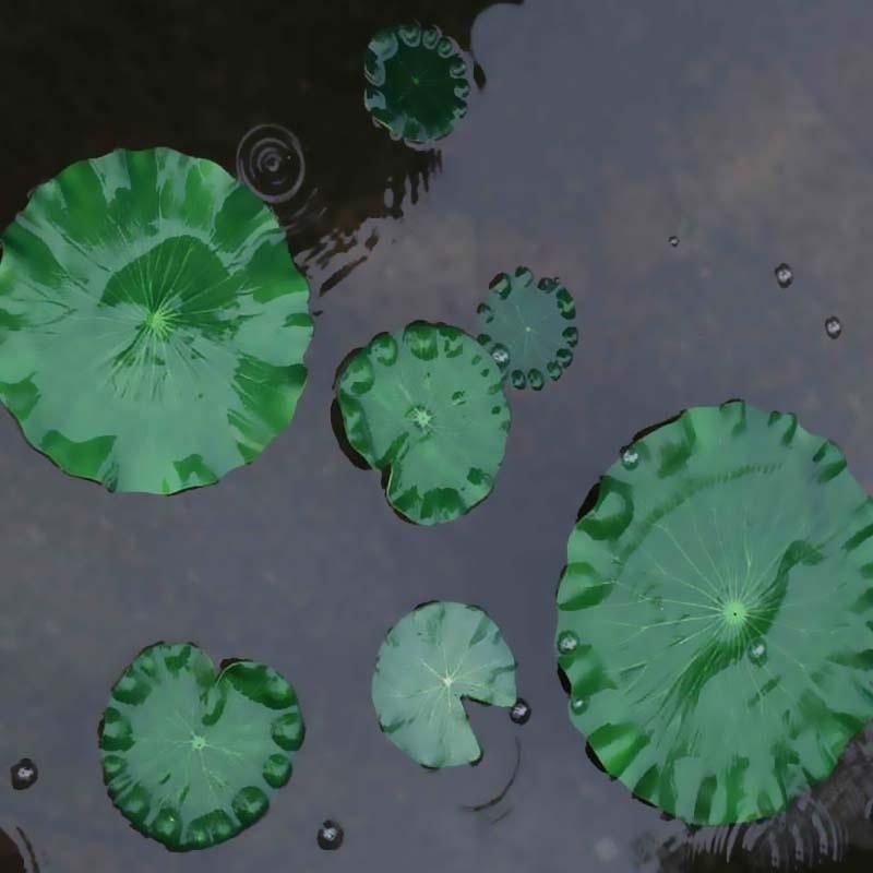 Folhas de Lótus Artificiais 20 - Aquarium Plants avaliação e preço