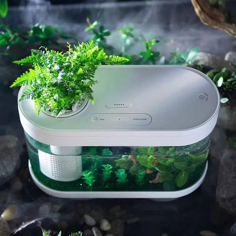 Smart Fish Tank para Xiaomi Mi - Xiaomi Aquarium Fish Tank avaliação e preço