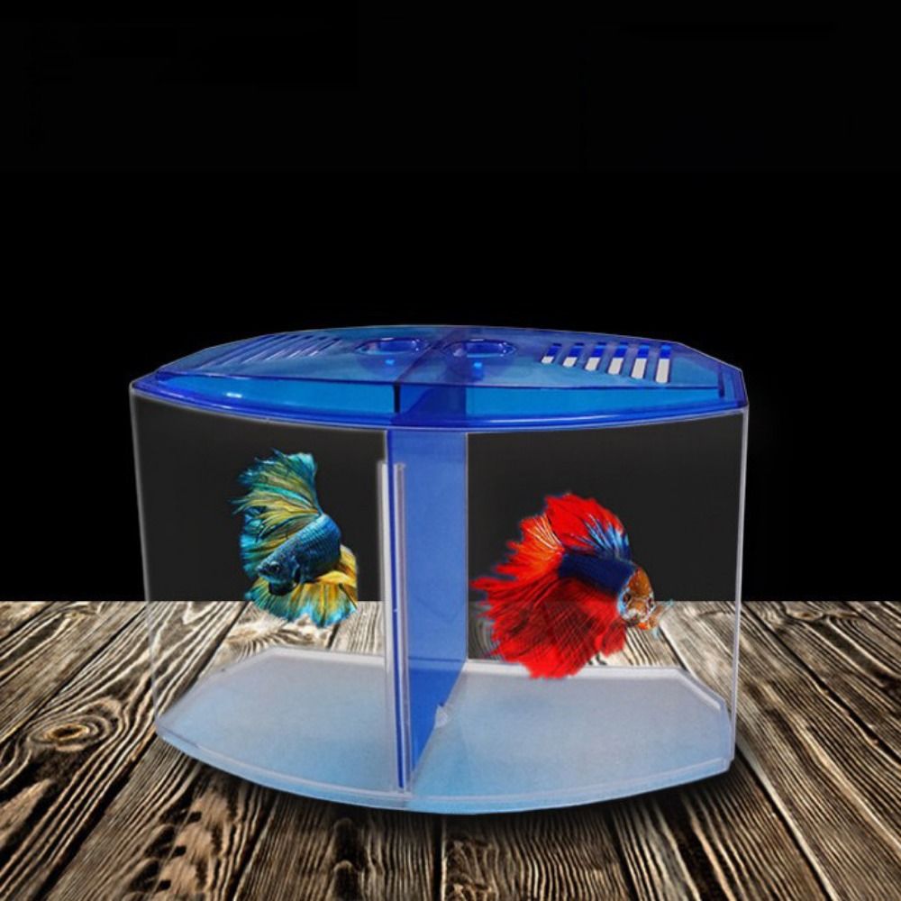 Transparente Betta Fish Tank,  - Betta Fish Tank avaliação e preço