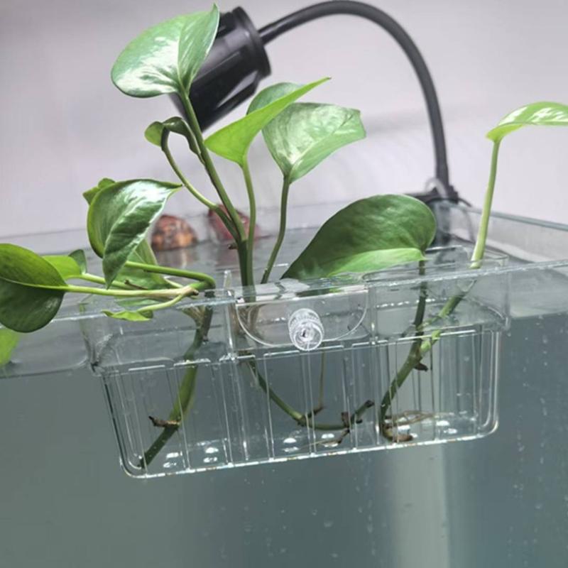 Cesto para Plantas Hidropônica - Aquarium Decor avaliação e preço