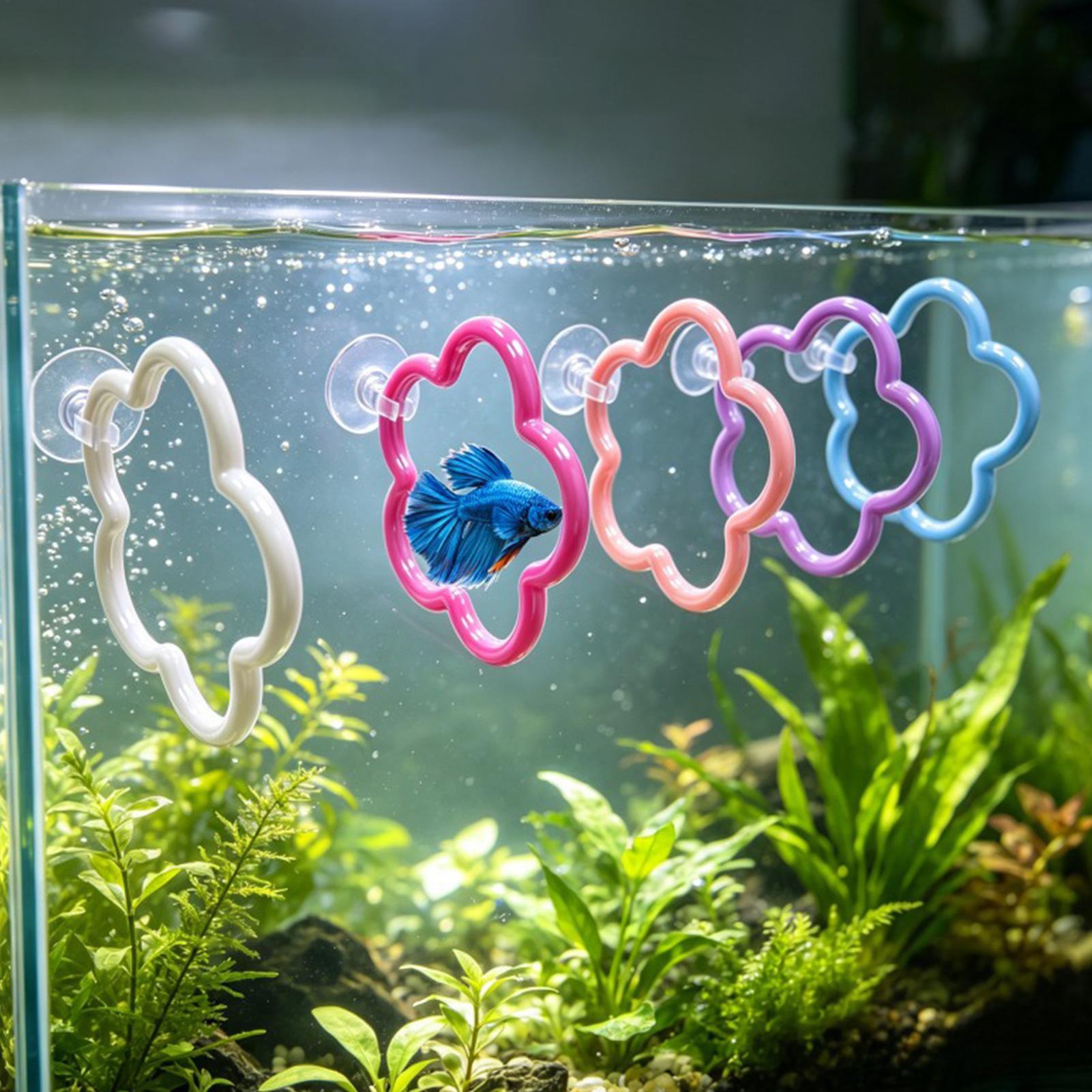 Brinquedos para Peixe Betta, 5 - Aquarium Fish Betta avaliação e preço