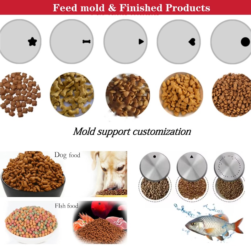 Máquina Extrusora de Ração par - Fish Food avaliação e preço