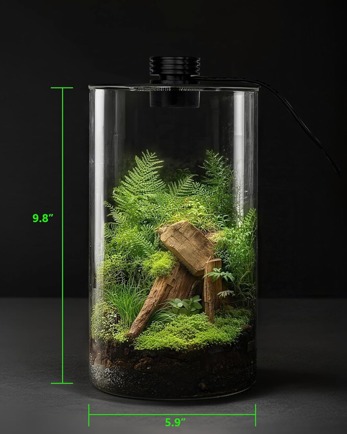 Terrário de Vidro Interno com  - Betta Fish Tank avaliação e preço