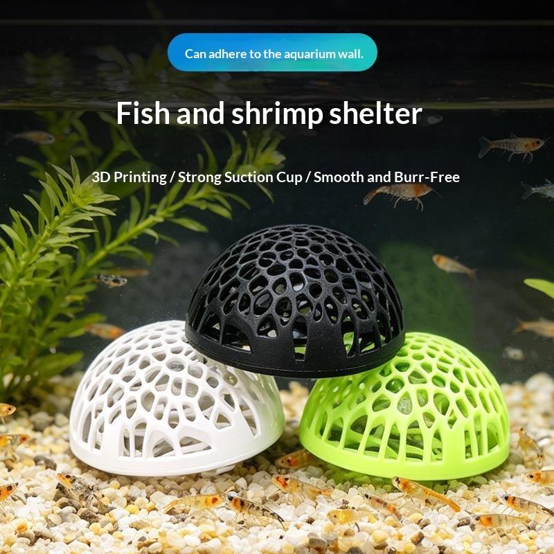 Nova casa para camarões de aqu - Aquarium Fish Betta avaliação e preço