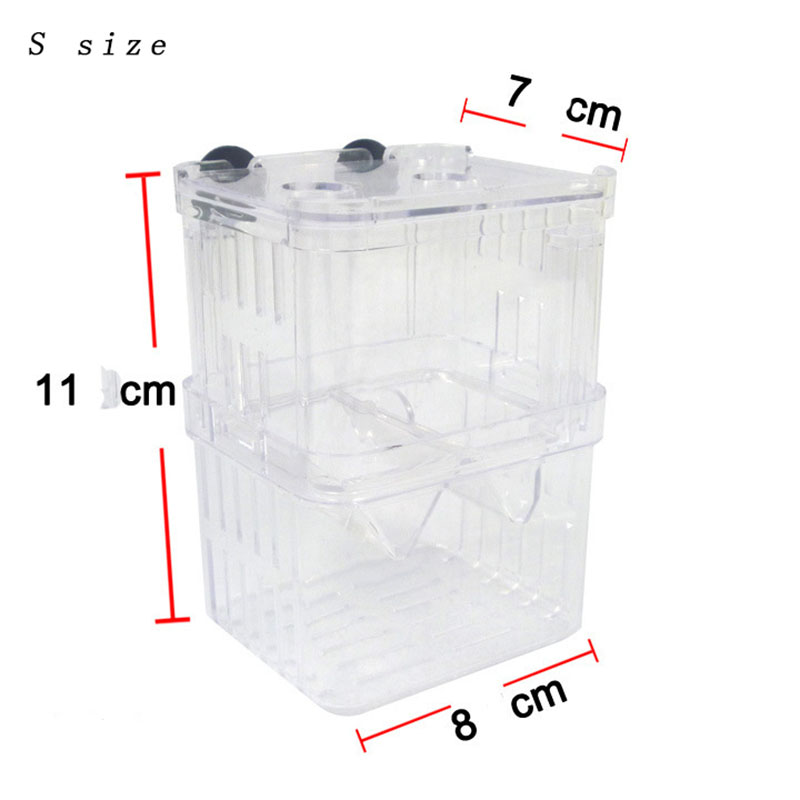 Caixa de isolamento para criaç - Betta Fish Tank avaliação e preço